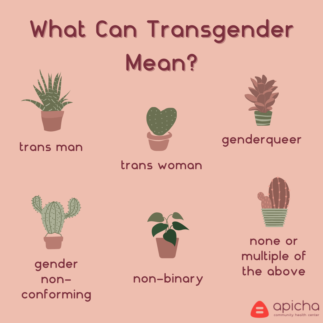 transgender terms